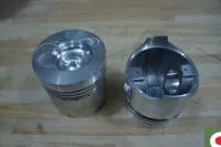 Поршень Shifeng SF-254 (код 217)